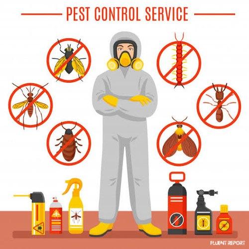 Pest Control Roslyn: Best 10 Pest Control Near Roslyn